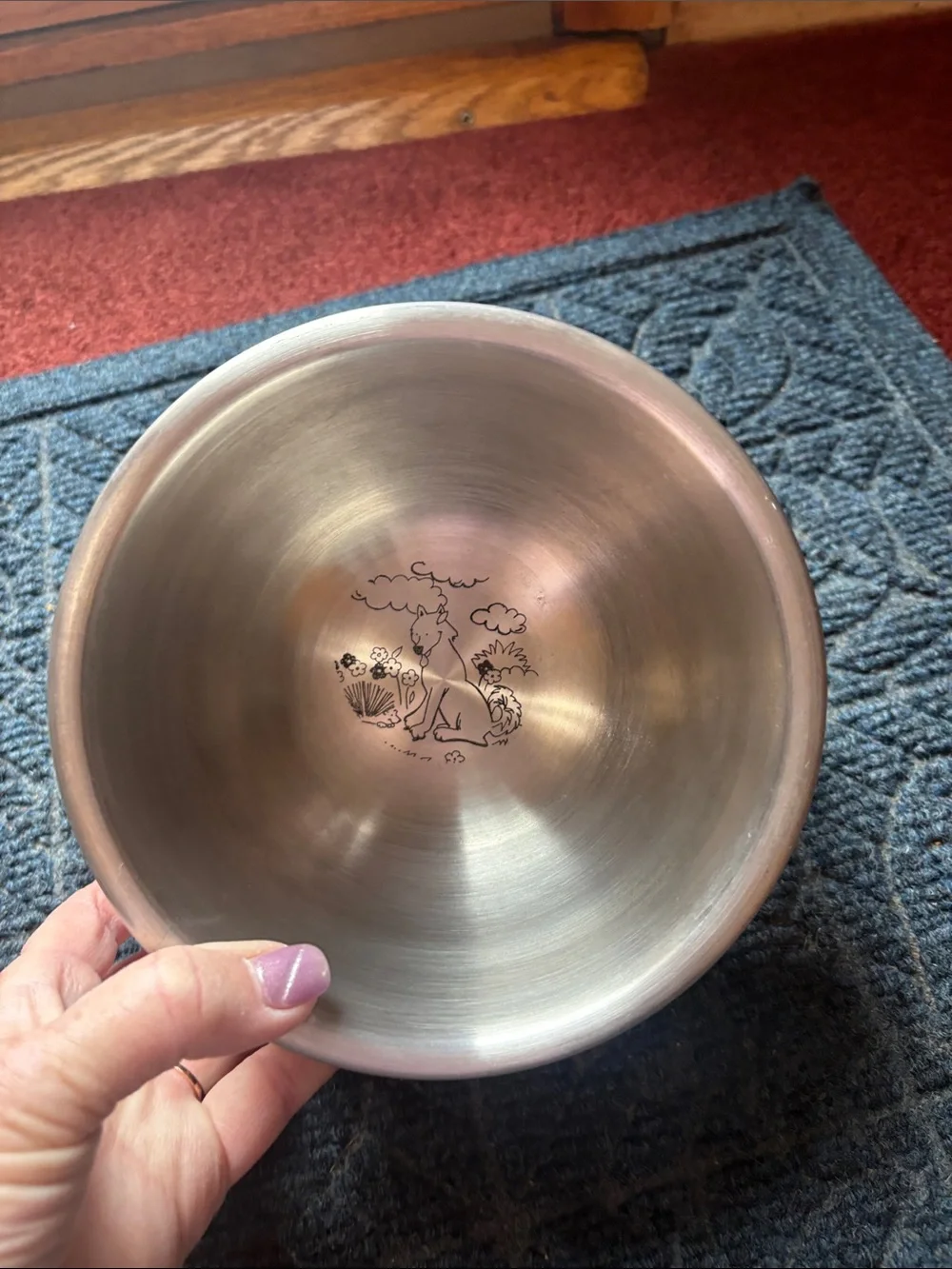 Stainless Steel Bowl with Cute Fox Illustration
